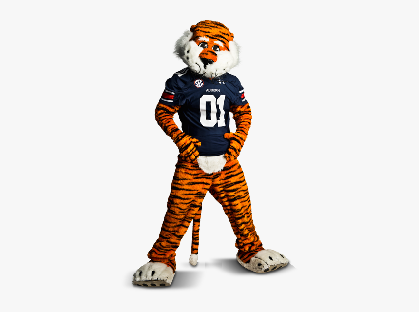 Aubie The Tiger Png, Transparent Png, Free Download
