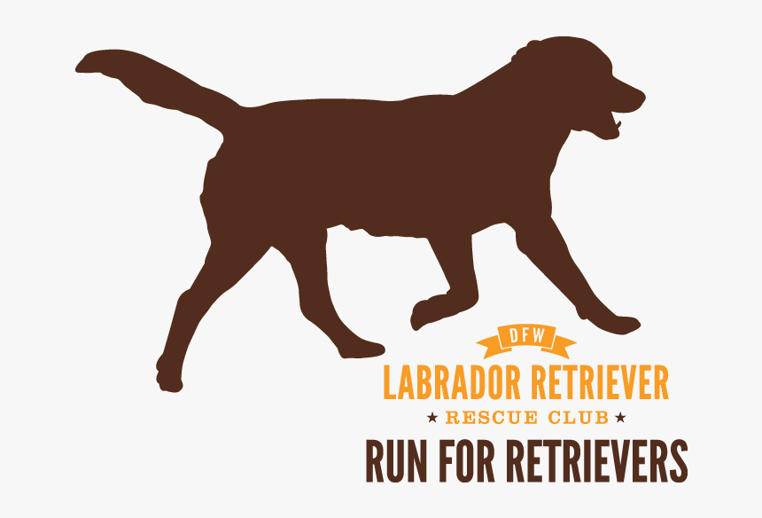 Run For Retrievers Logo - National Day Laborer Organizing Network, HD Png Download, Free Download