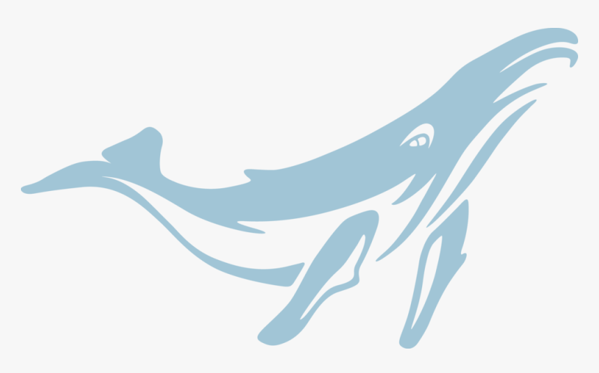 Cetacea,marine Mammal,whale,blue Whale,dolphin,common - Transparent Background Blue Whale Png, Png Download, Free Download