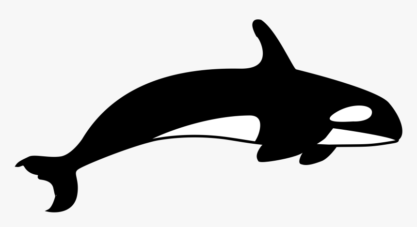 Blue Whale Clipart Tail Killer Whale Clipart Black And White Hd Png Download Kindpng