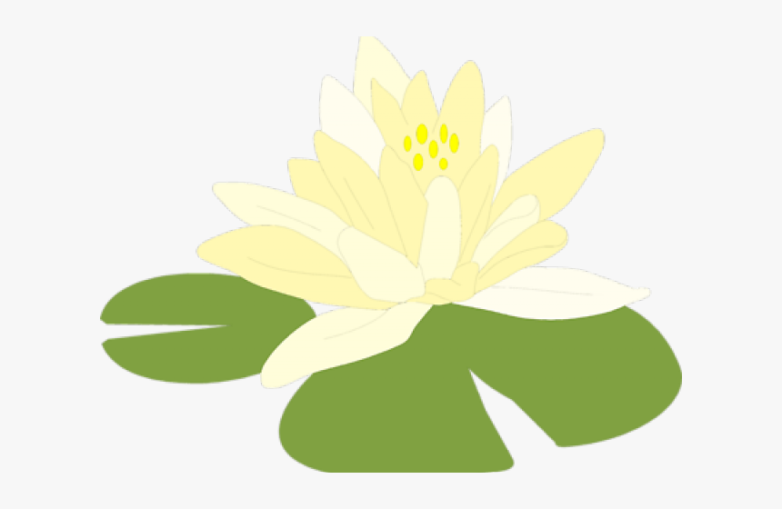 Lily Pad Clipart Lilipad Lily Pad Transparent Background Hd Png Download Kindpng