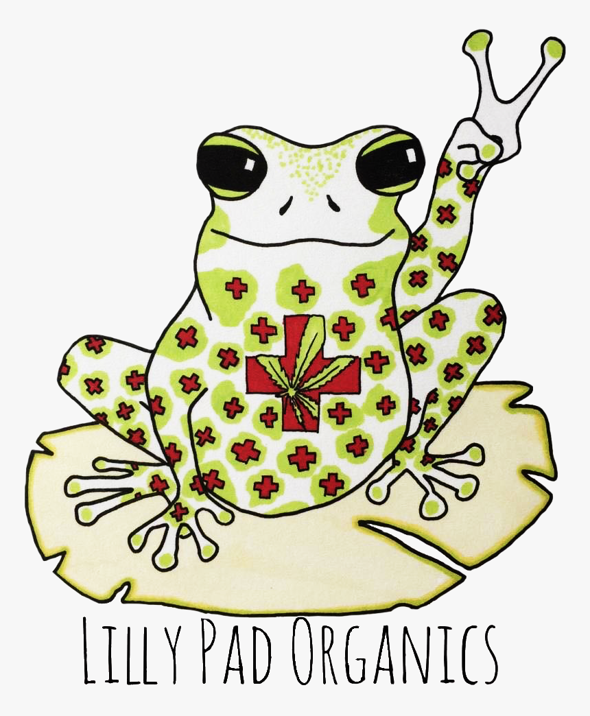 Welcome To Lily Pad Organics Inc - Mink Frog, HD Png Download, Free Download