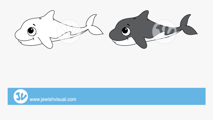 Transparent Killer Whale Png - Shark, Png Download, Free Download