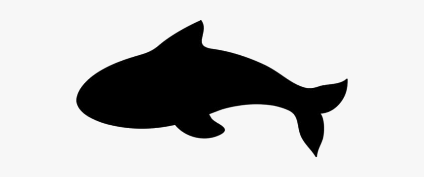 Killer Whale Png Transparent Images - Killer Whale, Png Download, Free Download