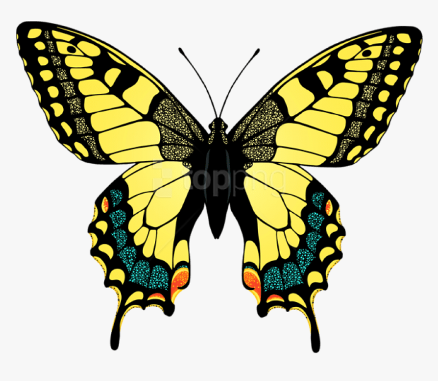 Yellow Butterfly Png - Animal Crossing Tiger Butterfly, Transparent Png, Free Download