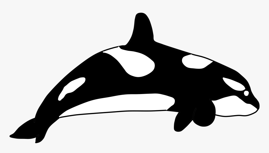 344 - Killer Whale, HD Png Download, Free Download