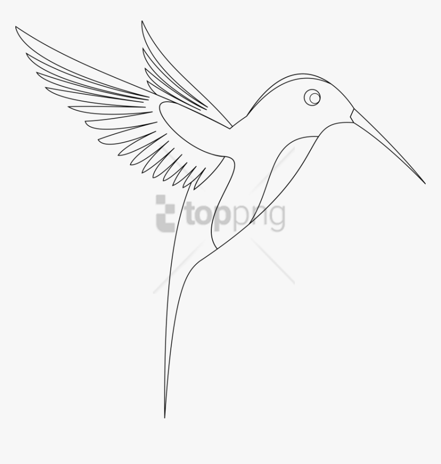 Free Png Download Line Art Of Birds Png Images Background - Hummingbird, Transparent Png, Free Download