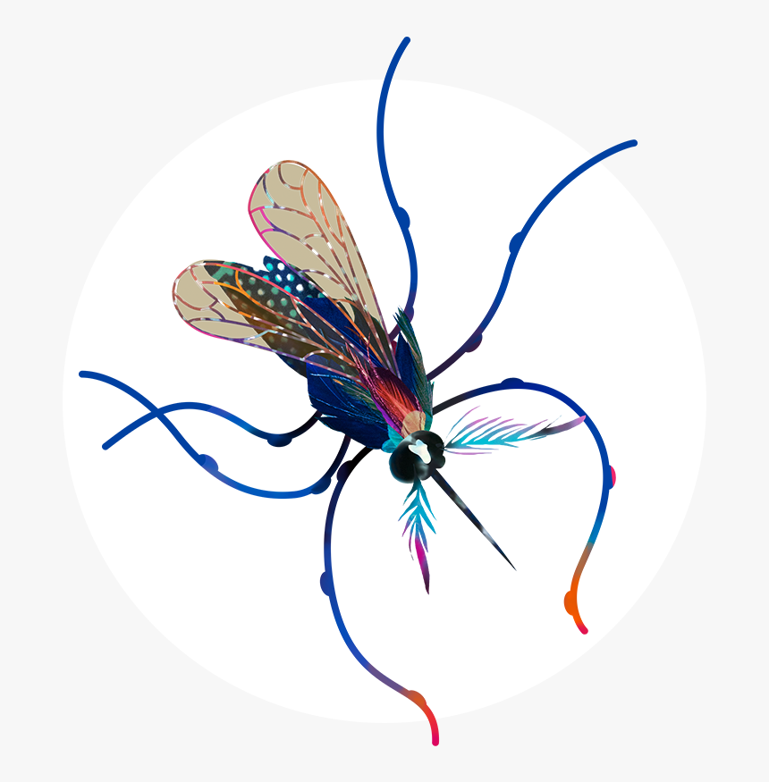 Mosquito Illustration - Dragonfly, HD Png Download, Free Download