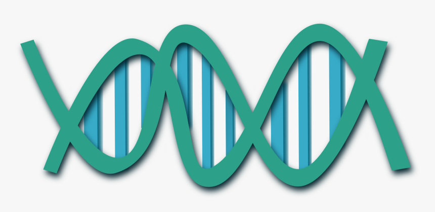 Dna Clip Art, HD Png Download, Free Download