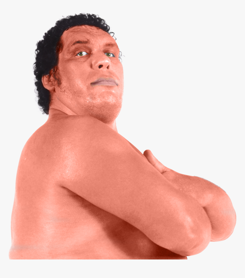 Transparent Dwayne Johnson Png - André The Giant, Png Download, Free Download