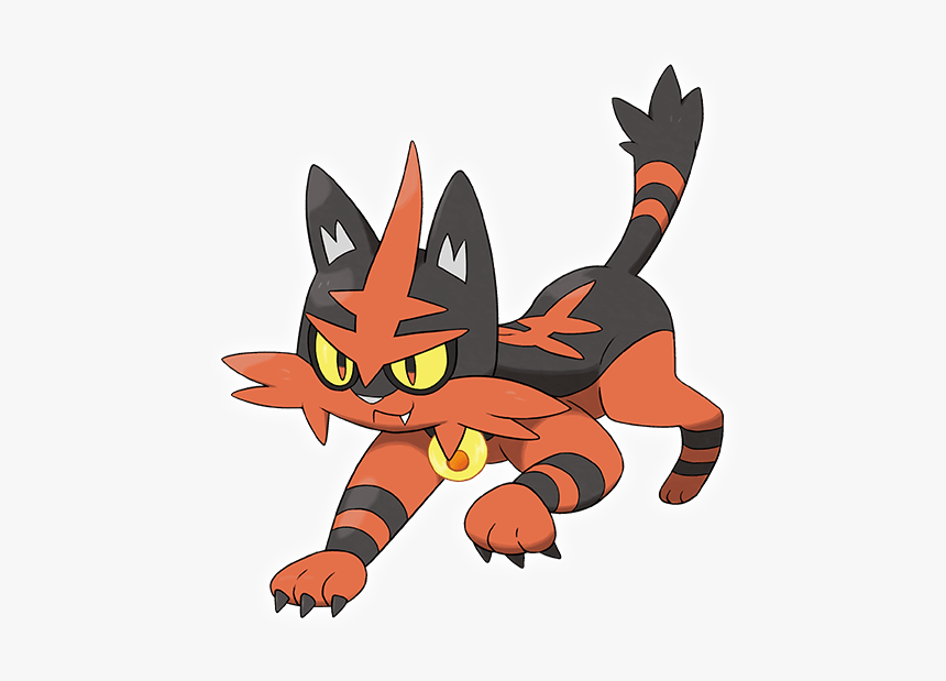 Pokemon Torracat, HD Png Download, Free Download