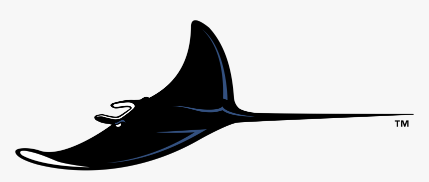 Tampa Devil Rays Logo, HD Png Download, Free Download