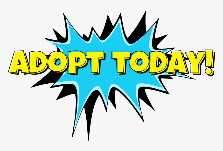 "adopt Today - Graphic Design, HD Png Download, Free Download