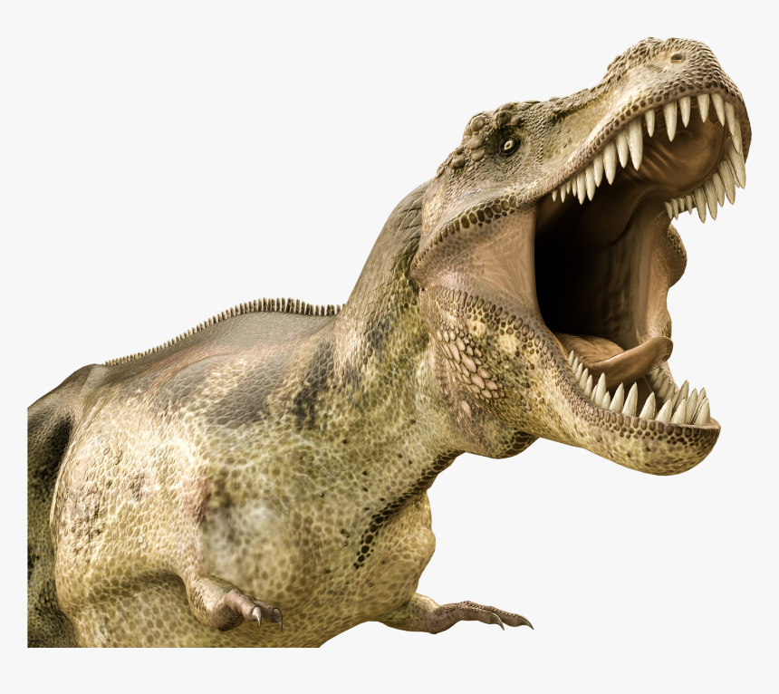 Dinosaur Jaws Transparent, HD Png Download, Free Download