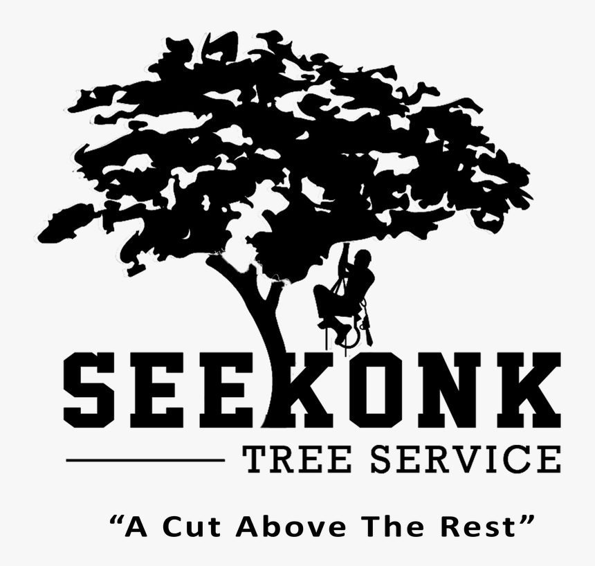 Picture - Imagen De Tree Service, HD Png Download, Free Download