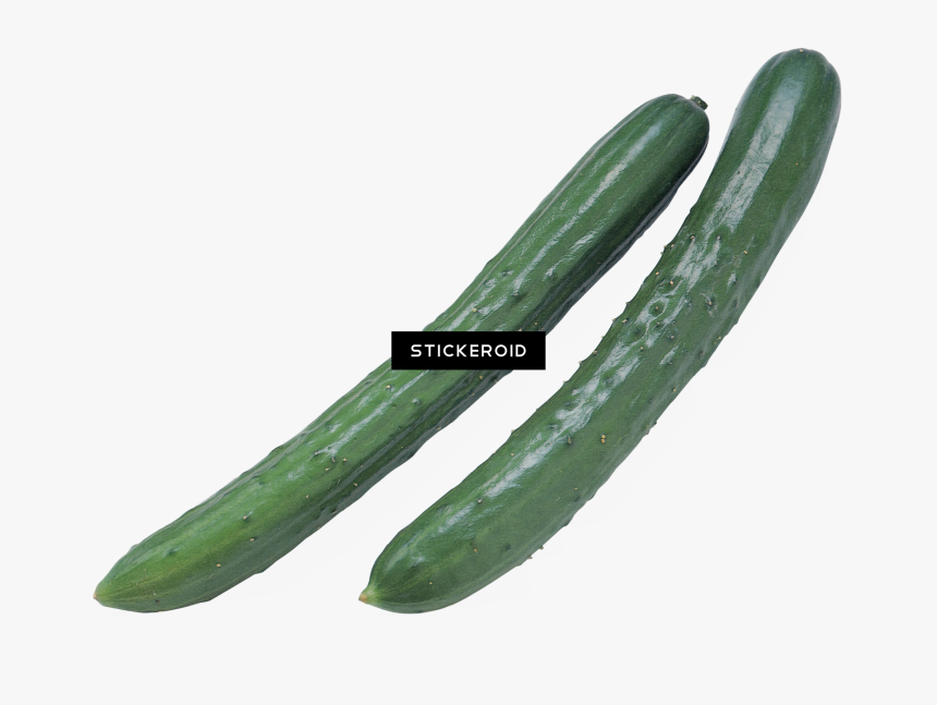 Summer-squash - Cucumber, HD Png Download, Free Download