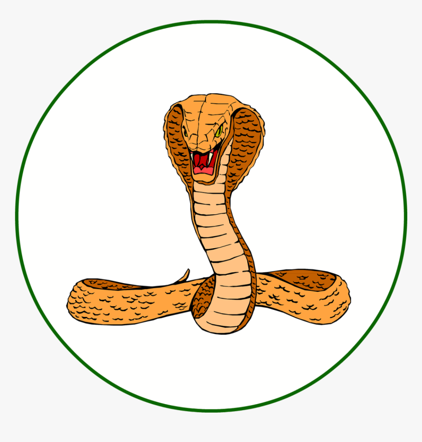 Realistic Snake Clip Art, HD Png Download, Free Download