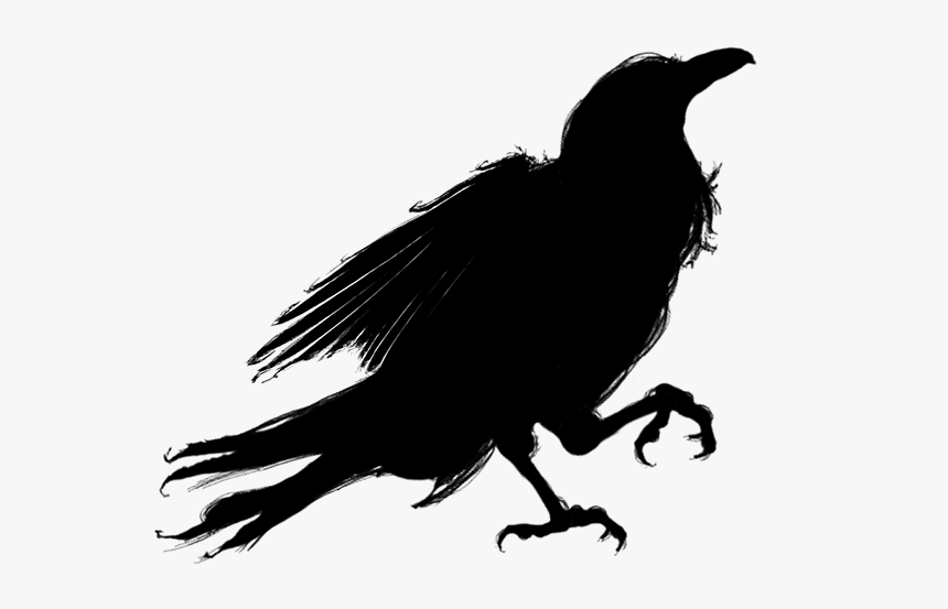 Silhouette Bird American Crow - Crow Silhouette Transparent Background, HD Png Download, Free Download