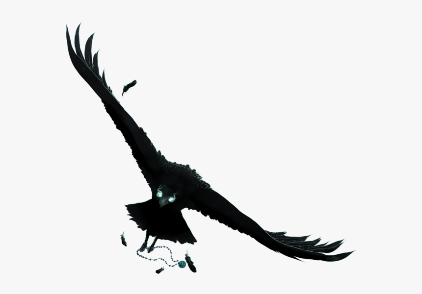 Raven Art Png - Anime Raven Png, Transparent Png, Free Download