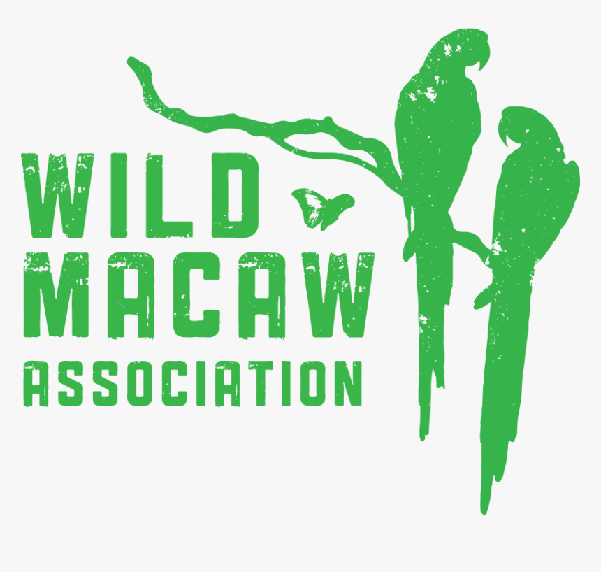 Wild Macaw Association - Graphic Design, HD Png Download, Free Download