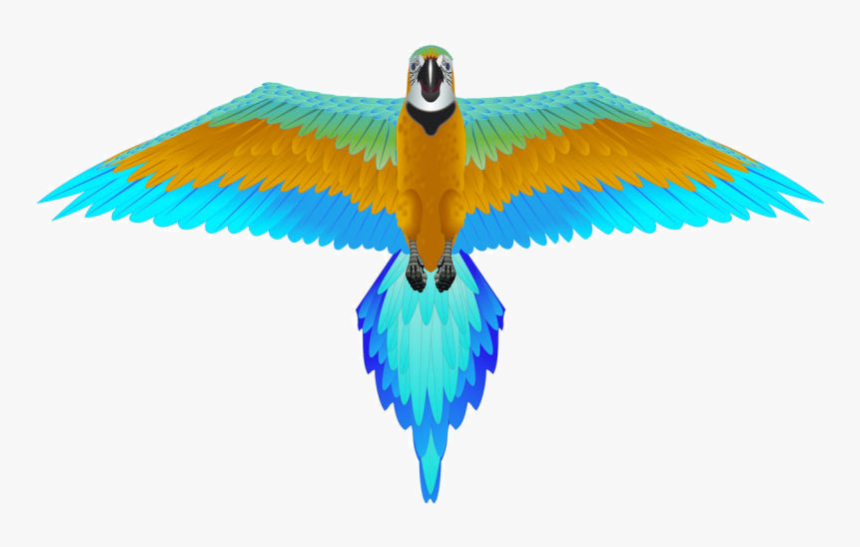 Image Of 3d Supersize Blue Macaw Kite - Blue Macaw Kite, HD Png Download, Free Download