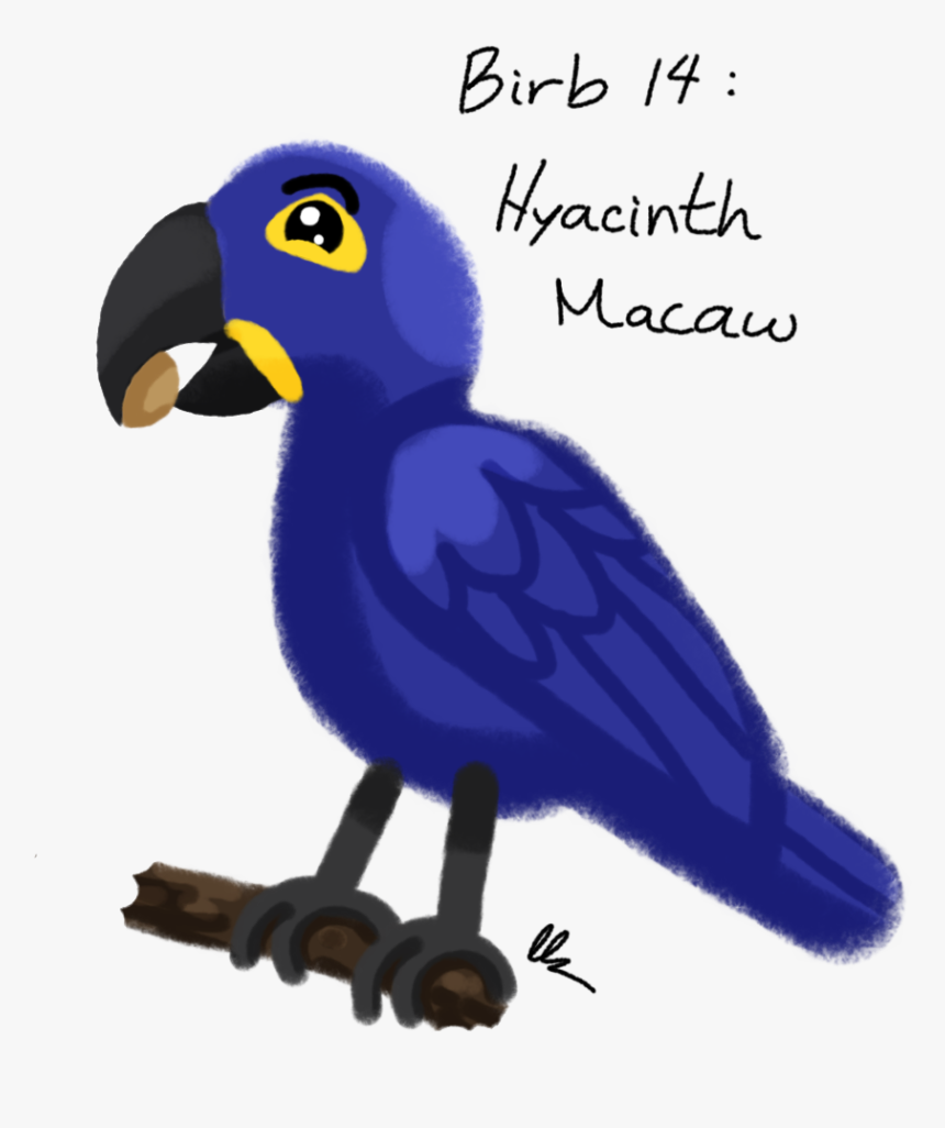 Hyacinth Macaw - Parrot, HD Png Download, Free Download