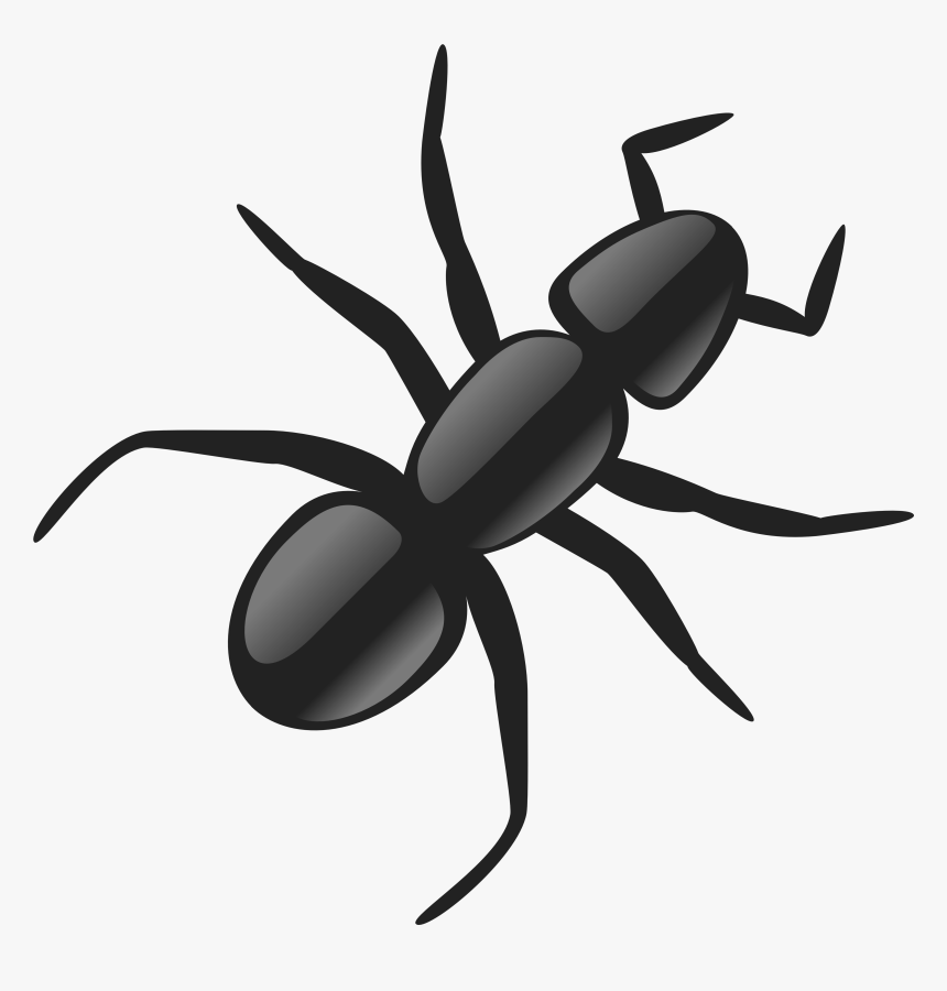 Ant Clip Art, HD Png Download, Free Download