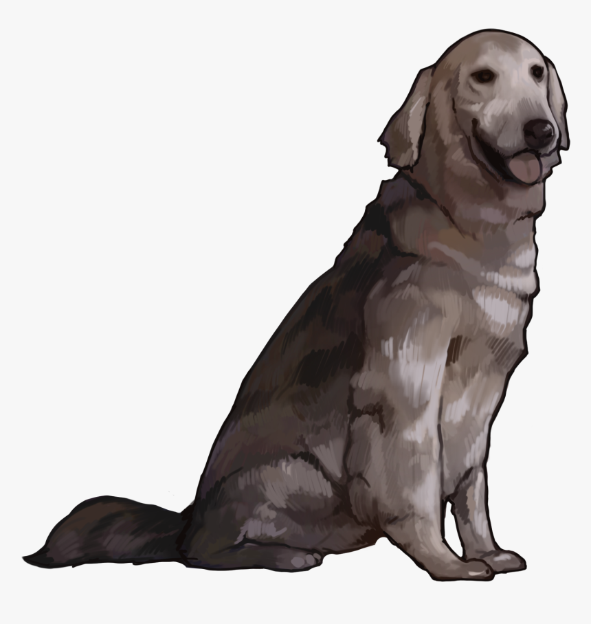 Ace Combat 7 Dog Jpg, HD Png Download, Free Download