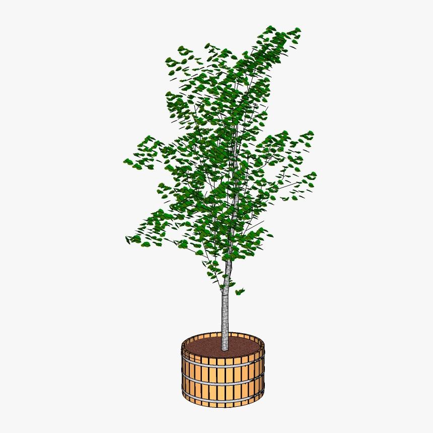 Large Wooden Planter - Tree In Planter Png, Transparent Png, Free Download