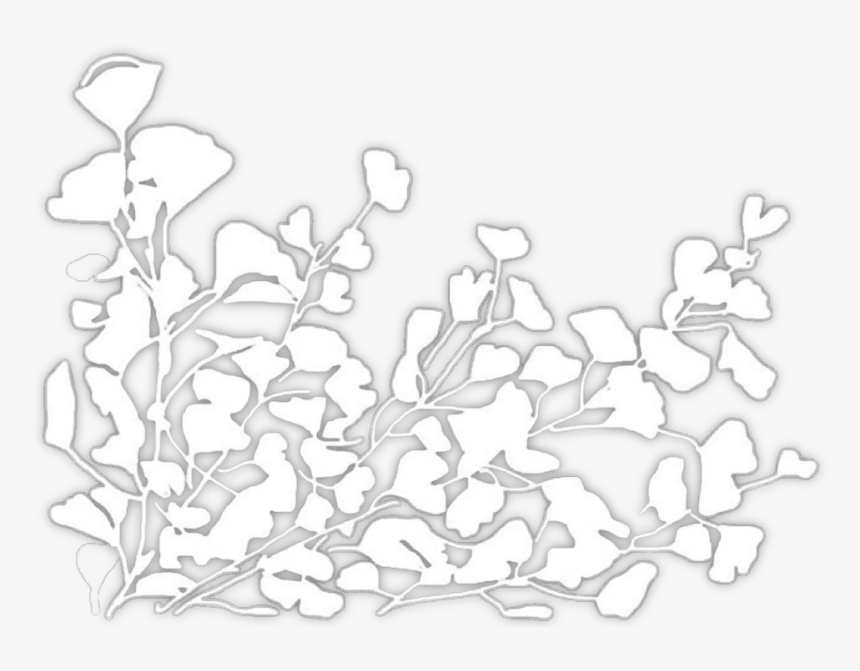 Flower Overlay I Suppose So Sticker Stickers - White Flowers Transparent Overlays, HD Png Download, Free Download