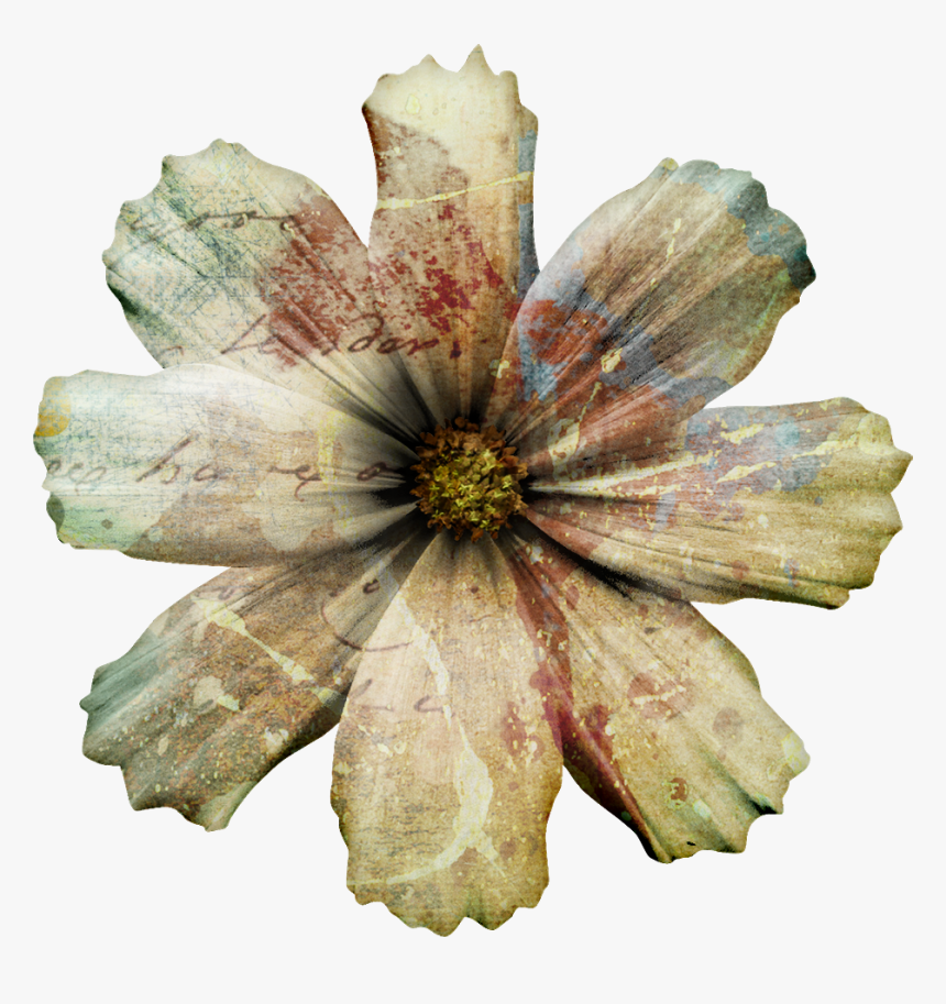 Transparent Flower Overlay Png - Clematis, Png Download, Free Download