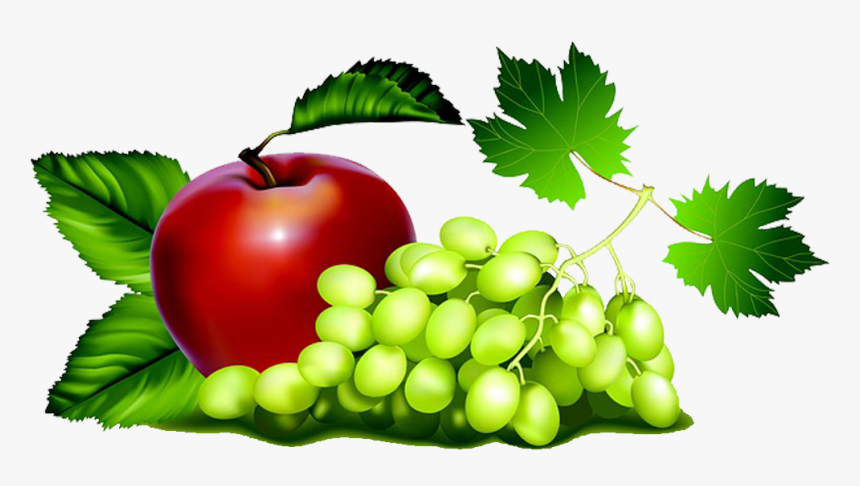 Grapes And Apples Clipart, HD Png Download, Free Download