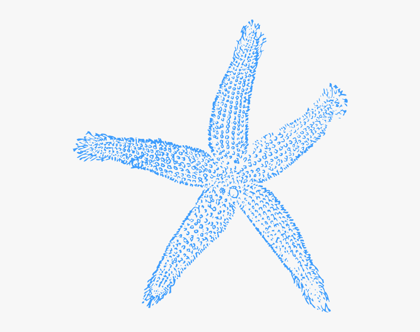 Starfish Clip Art At - Fish Clip Art, HD Png Download, Free Download