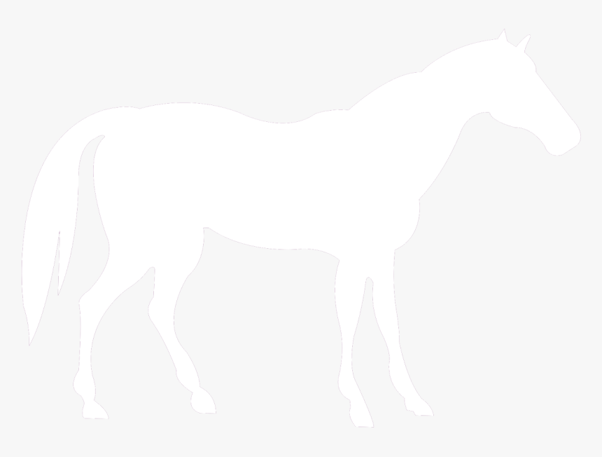 Galloping Horse White Silhouette Png, Transparent Png, Free Download