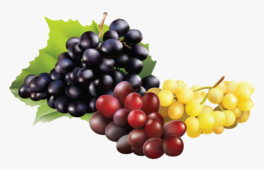 Grappes De Raisin - Raisin Png, Transparent Png, Free Download