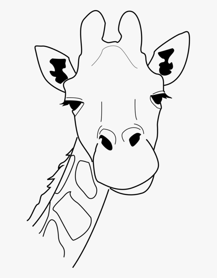 Giraffe Outline Png - Giraffe Head Drawing Easy ...