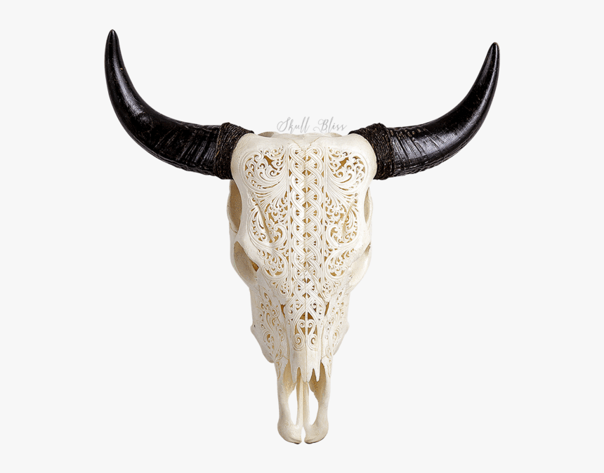 Carved Cow Skull // Xl Horns - Horn, HD Png Download, Free Download