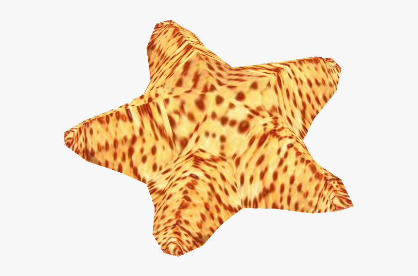 Starfish, HD Png Download, Free Download