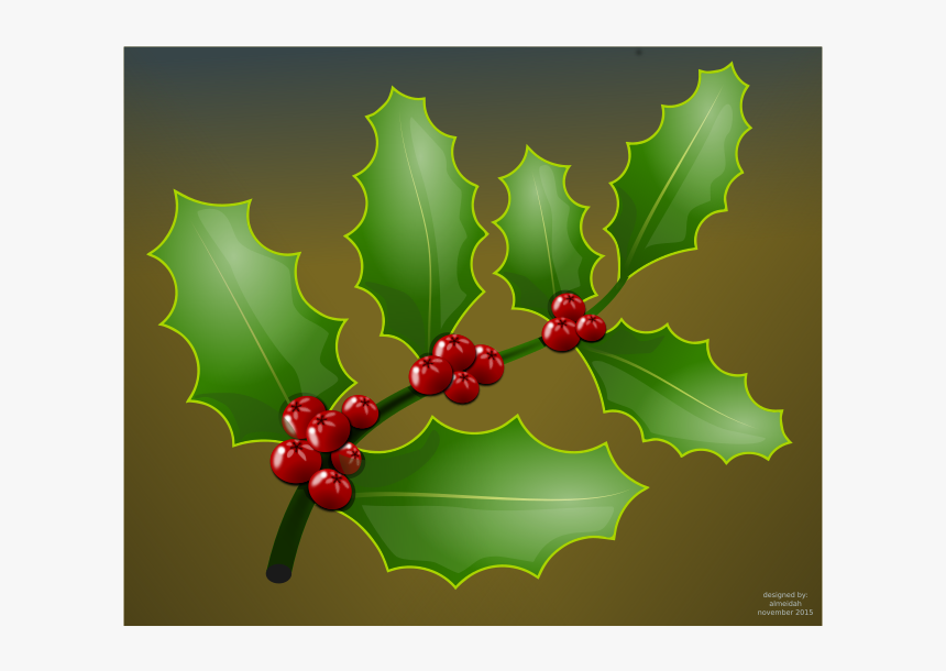 Holly Branch - Illustration, HD Png Download, Free Download