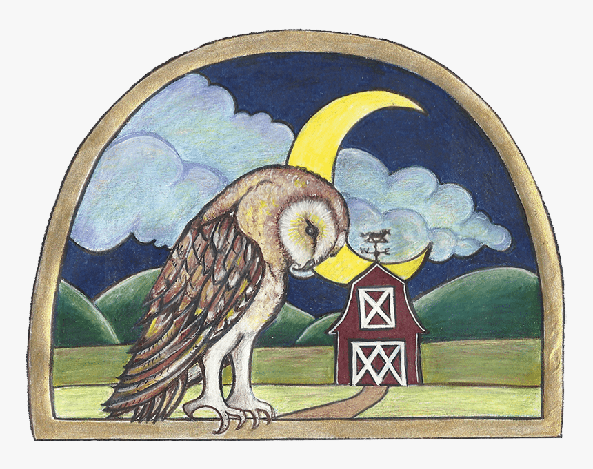 Barn Owl Art Studio - Barn Owl, HD Png Download, Free Download