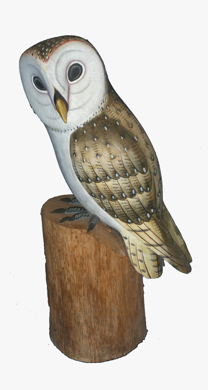 Barn Owl, HD Png Download, Free Download