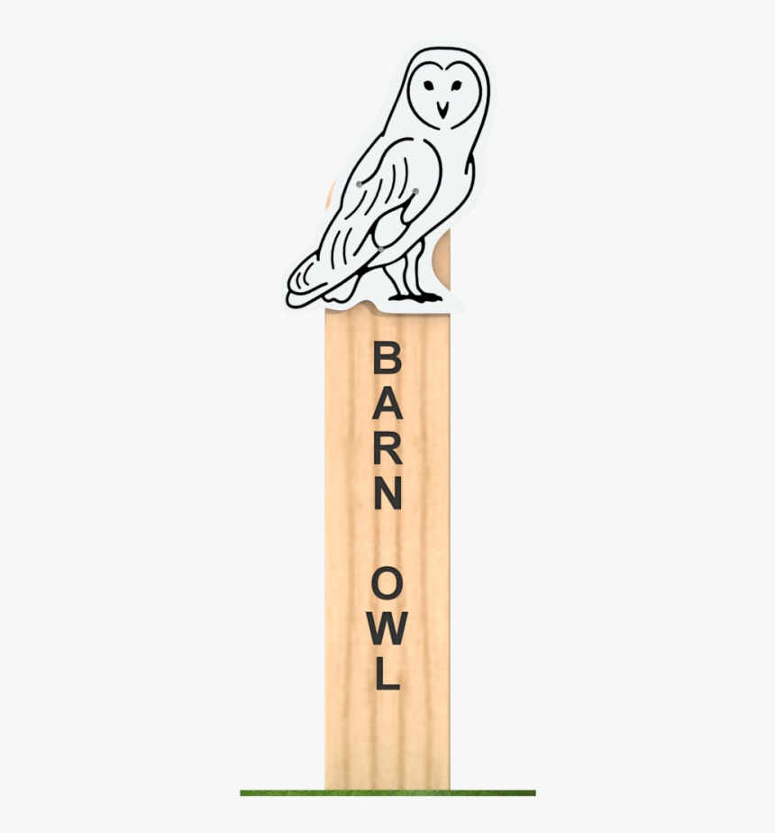 Snowy Owl, HD Png Download, Free Download