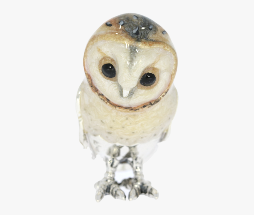 Barn Owl, HD Png Download, Free Download