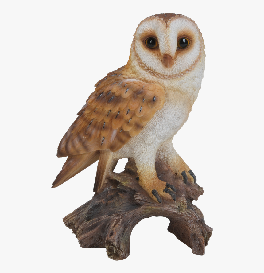 Owl Statues, HD Png Download, Free Download