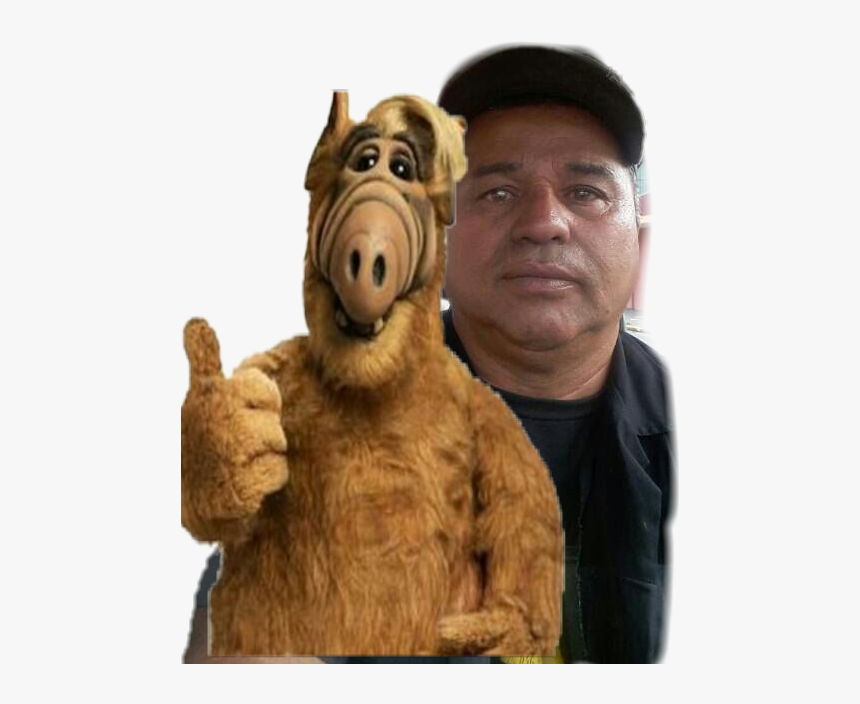 #alf - Alf Actor Alf, HD Png Download, Free Download