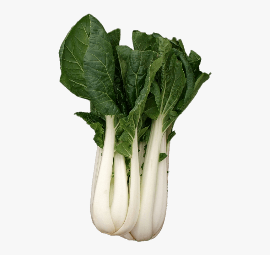 Buk Choy - Brassica Rapa Subsp Chinensis, HD Png Download, Free Download