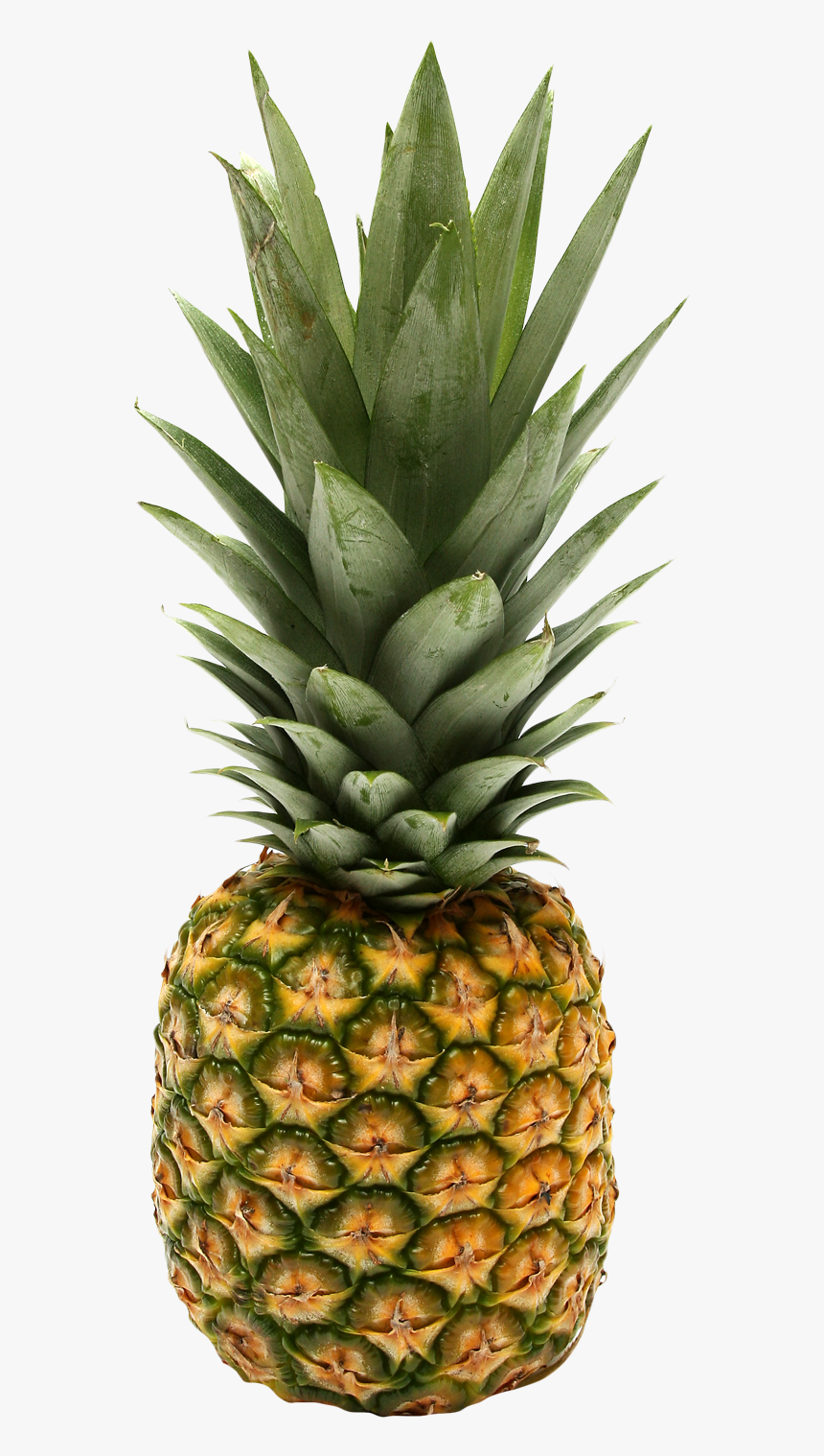 Free Png Pineapple Png Images Transparent - Pina Colada Fruit Bars, Png Download, Free Download