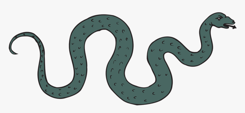 Snake, Green, Reptile, Hissing, Slithering, Curled - Slithering Snake Clipart, HD Png Download, Free Download