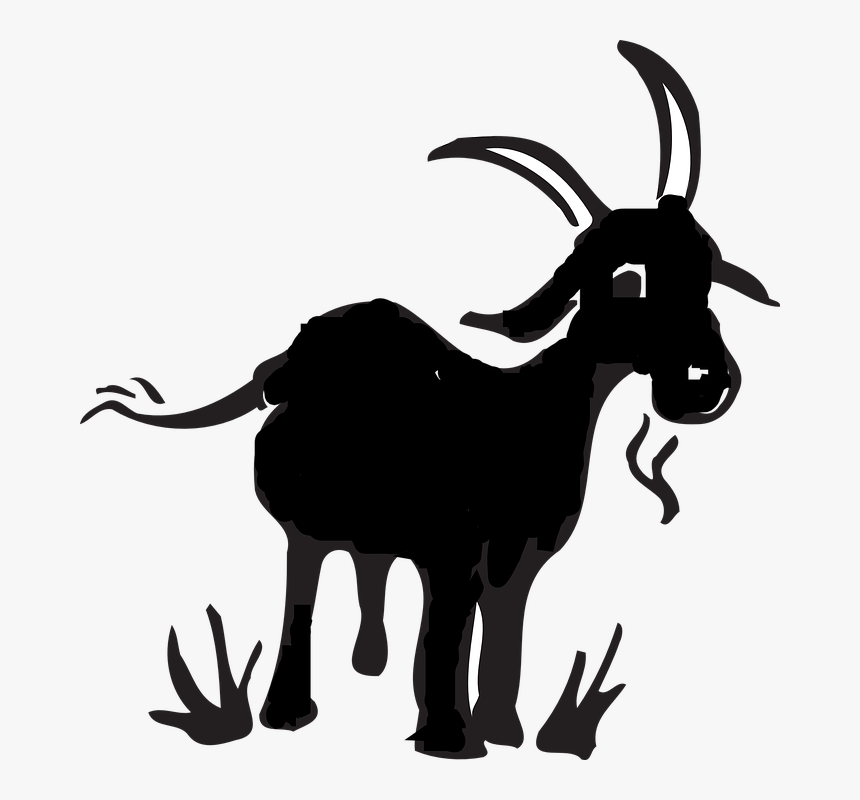 Goat, Animal, Farm - Mountain Goat Drawing, HD Png Download, Free Download