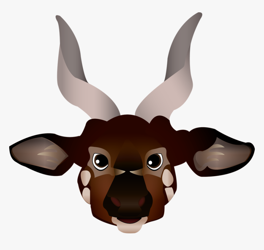 Antelope, HD Png Download, Free Download